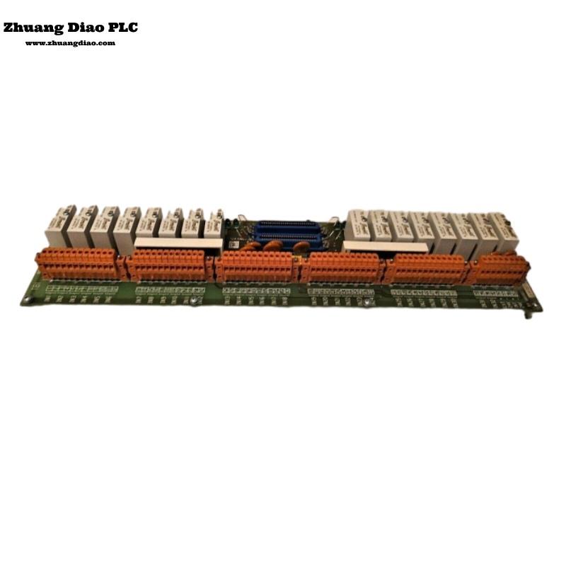 51304441-100