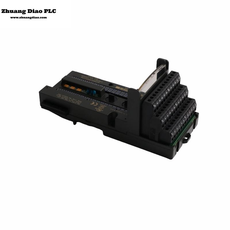IC200CHS022