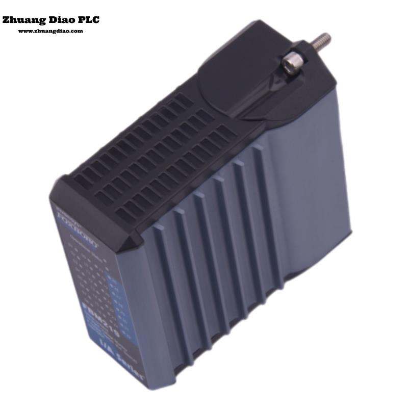 FBM219