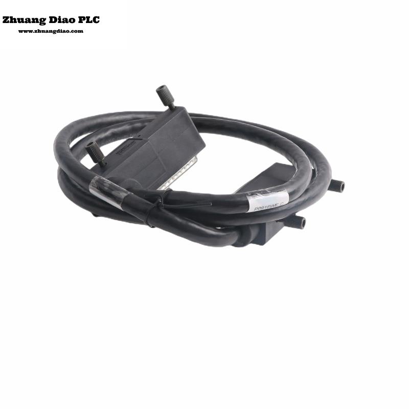 FOXBORO P0916WE TERMINATION CABLE