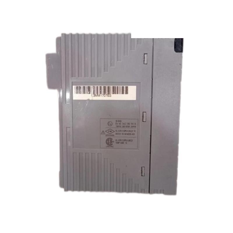 Yokogawa AAI143-H03 Analog Input Module
