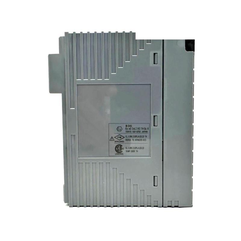 Yokogawa AAI543-H00/A4S00 Analog Output Module
