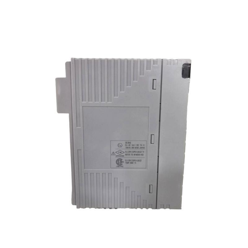 Yokogawa AAI543-H00/A4S10 Analog Output Module
