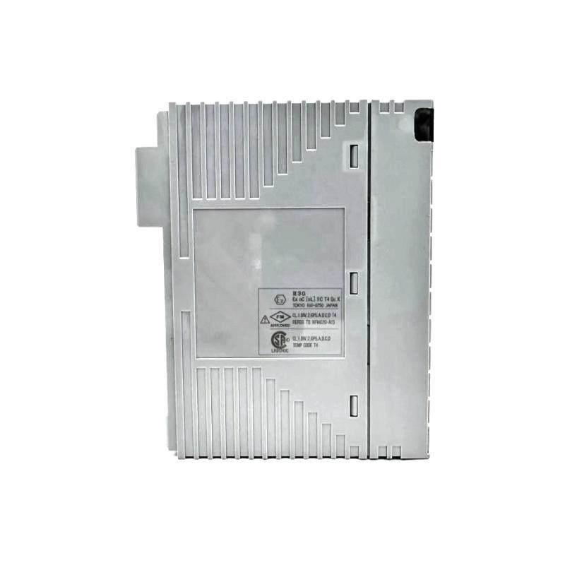 Yokogawa AAI543-H60/K4A00 Analog Output Module