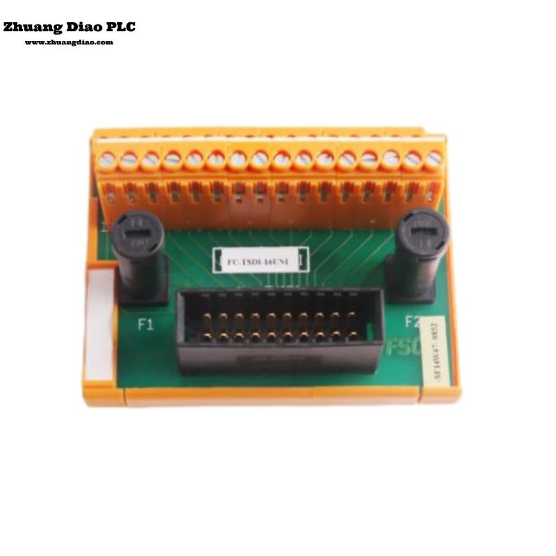 FS-TSDO-0824