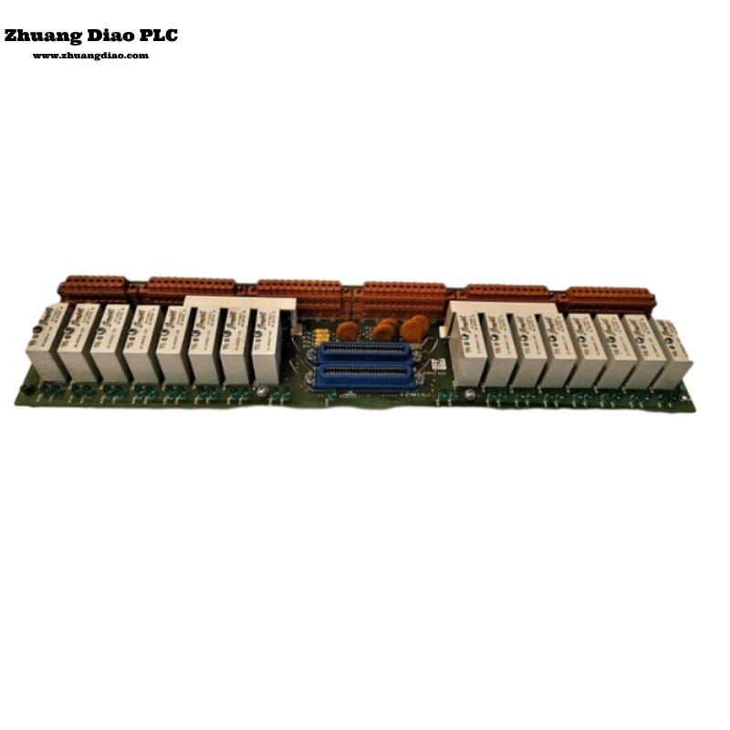 51304441-100