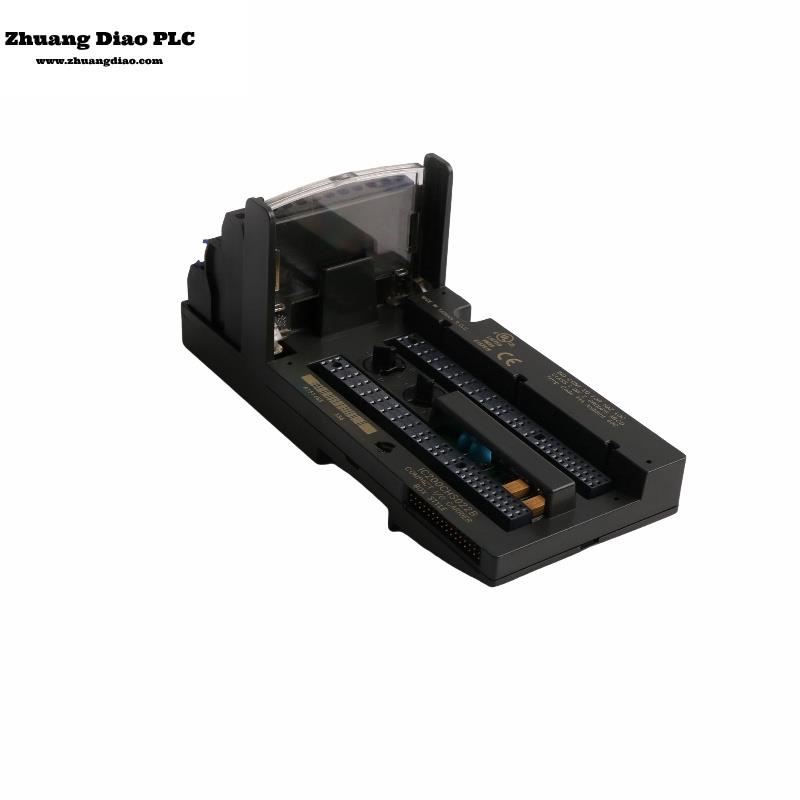 IC200CHS022